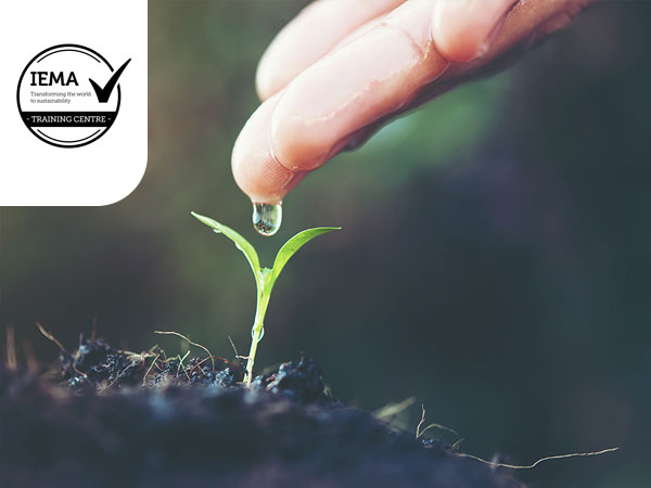 iema-environmental-sustainability-skills-for-managers