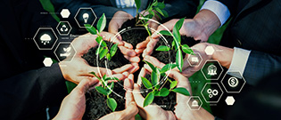 nebosh-environment-management-certificate-thumbnail